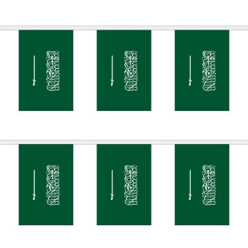Saudi Arabia Bunting