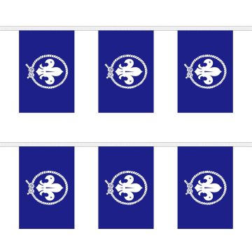 Scouts Blue Bunting
