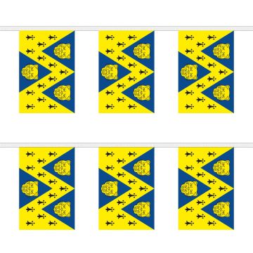 Shropshire New Bunting