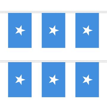 Somalia Bunting