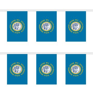 South Dakota Bunting