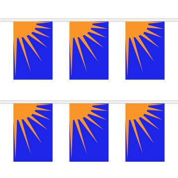 Sunburst Bunting