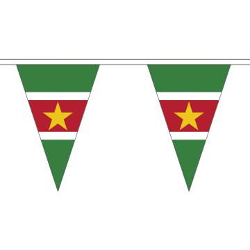 Suriname Small Triangle Bunting (5m Length)