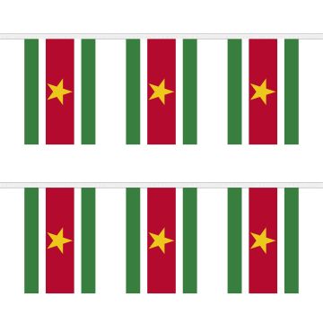 Suriname Bunting