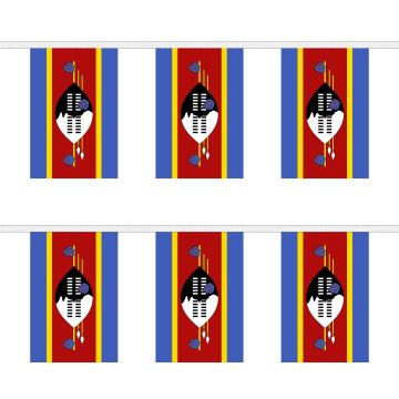 Swaziland Bunting