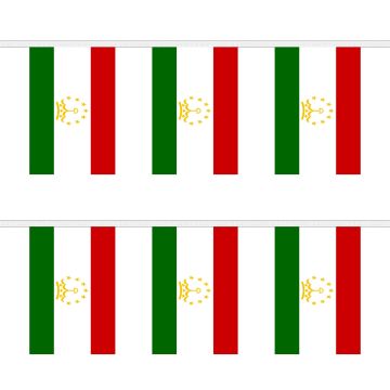 Tajikistan Bunting