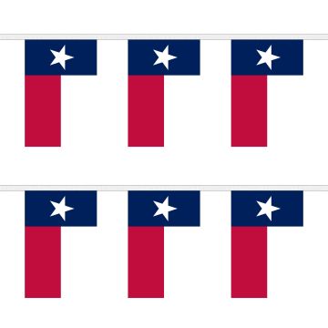 Texas Bunting