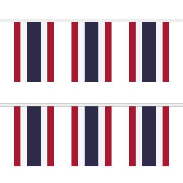 Thailand Bunting