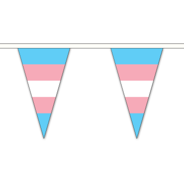 Transgender (New) Small Triangle Bunting (5m Length)