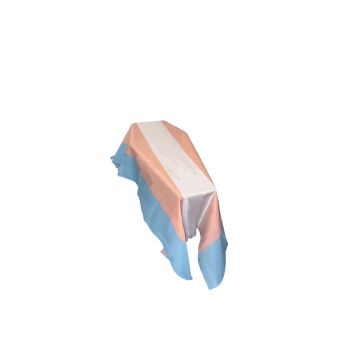 Transgender (New) Coffin Drape Flag