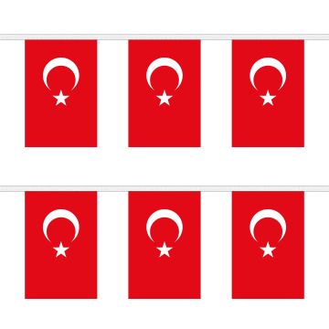 Turkey Bunting