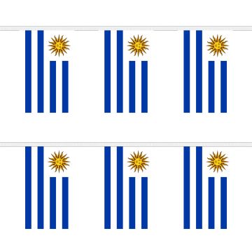 Uruguay Bunting