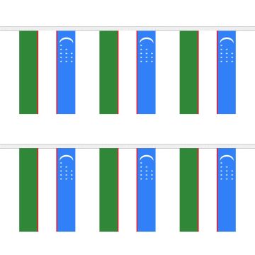 Uzbekistan Bunting