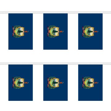 Vermont Bunting