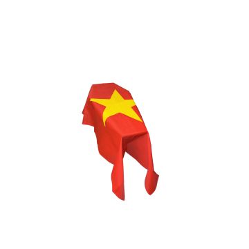 Vietnam New Coffin Drape Flag