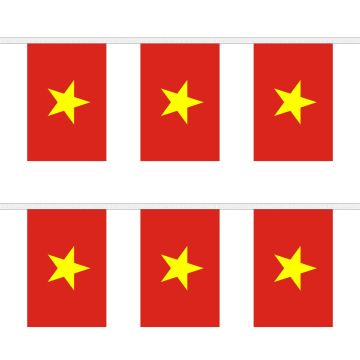 Vietnam New Bunting