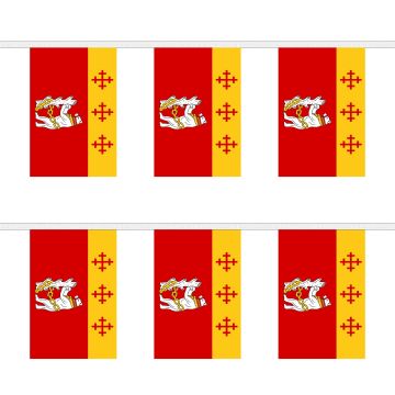 Warwickshire Old Bunting