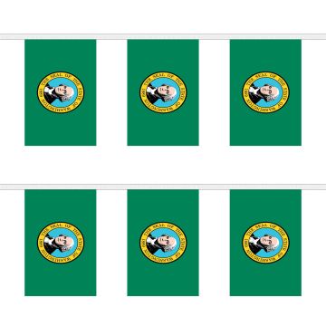 Washington Bunting