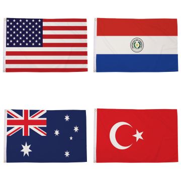 World Cup 2026 Group D Flag Pack