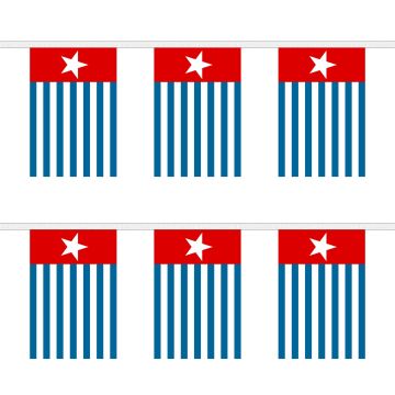 West Papua Bunting
