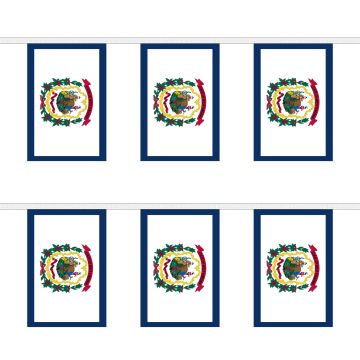 West Virginia Bunting
