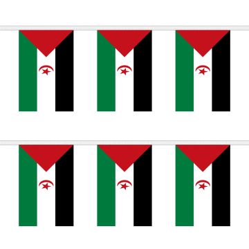 Western Sahara Bunting