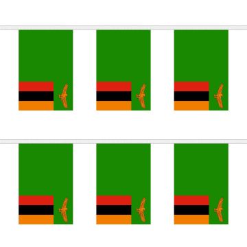 Zambia Bunting