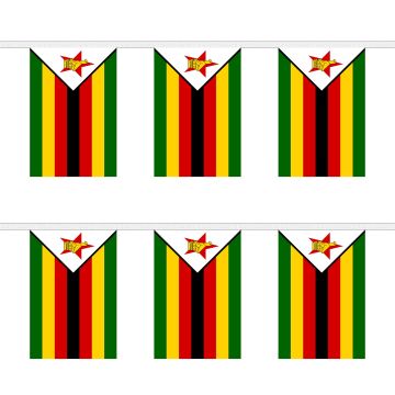 Zimbabwe Bunting