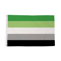 Aromantic Flag