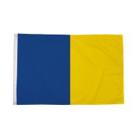 Blue and Gold Irish County Flag