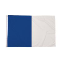 Blue and White Irish County Flag