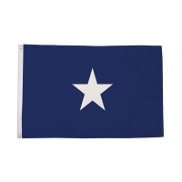 Bonnie Blue Flag