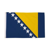Bosnia and Herzegovina Flag