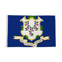 Connecticut Flag