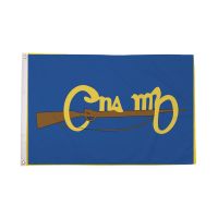 Cumann na mBan Flag