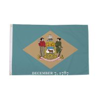 Delaware Flag