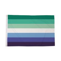 Gay Male Striped Flag