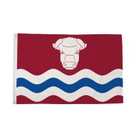Herefordshire New Flag