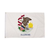 Illinois Flag