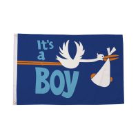 Its a Boy Flag