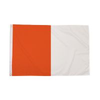 Orange and White Irish County Flag