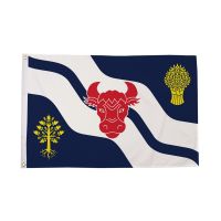 Oxfordshire New Flag