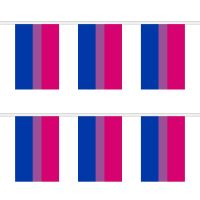 Bi-Pride Rectangular Bunting