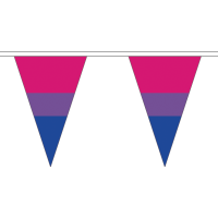 Bi-Pride Triangle Bunting