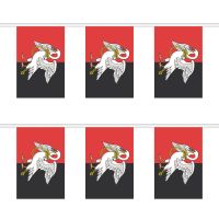 Buckinghamshire New Rectangular Bunting