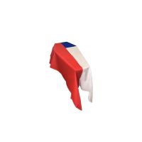 Chile Coffin Drape Flag