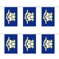 Connecticut Rectangular Bunting