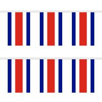 Costa Rica Rectangular Bunting