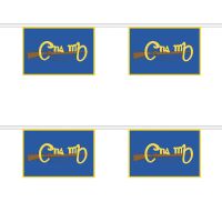 Cumann na mBan Horizontal Rectangular Bunting
