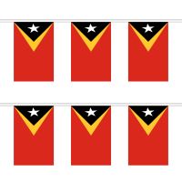 East Timor Rectangular Bunting